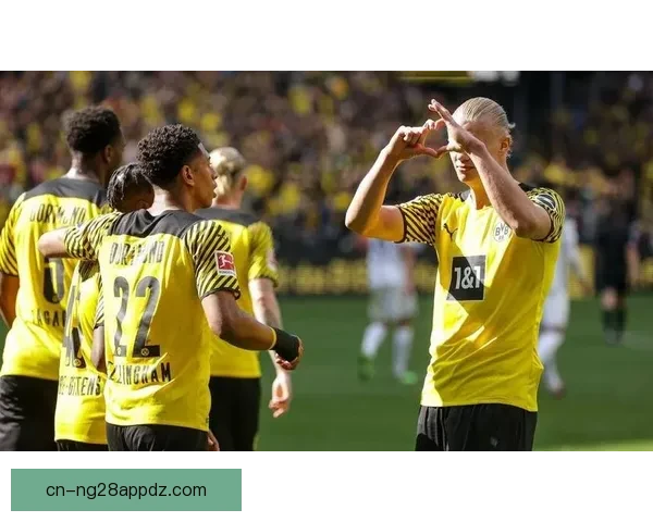 多特700万签下普拉特斯后卫